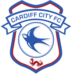  卡迪夫城
